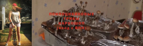 гидра Алексеевка