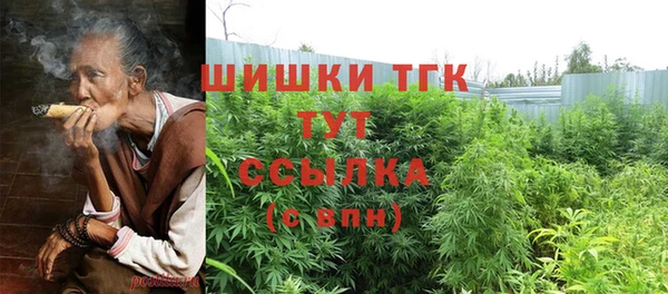 гидра Алексеевка