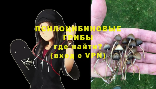 гидра Алексеевка