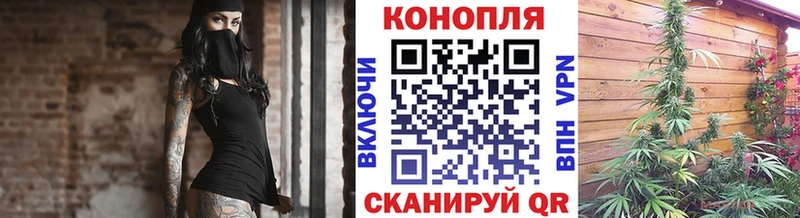 Каннабис планчик  Куса 